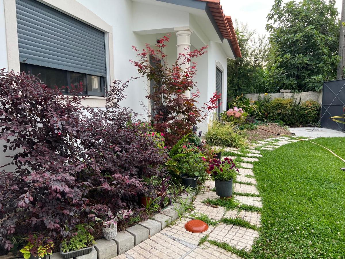 Beautiful Little Country House Villa Carvide Luaran gambar